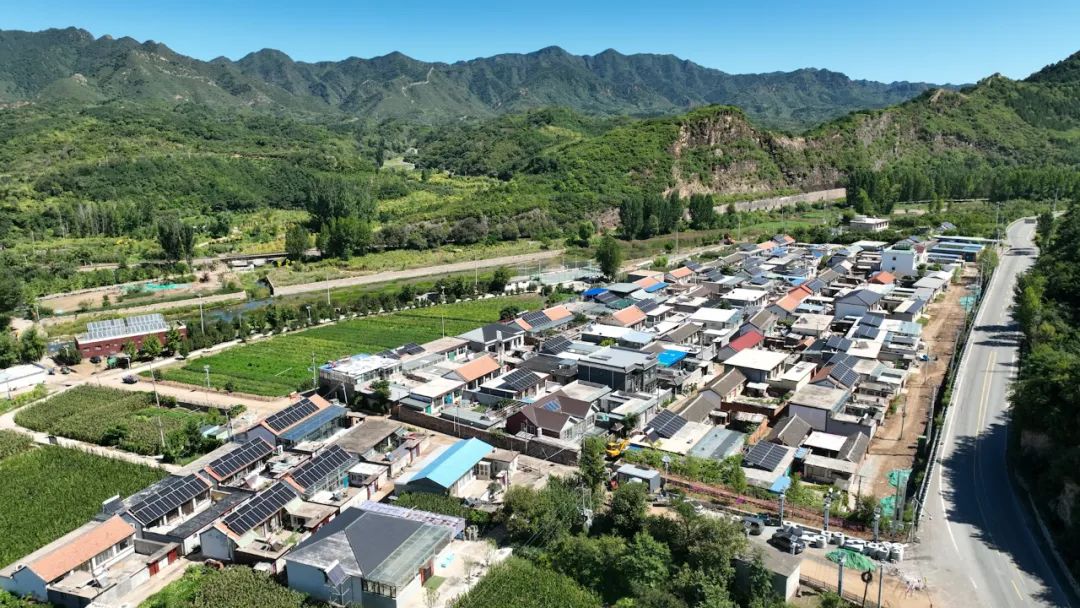 CA88��(�й���) - Ψһ�ٷ���վ