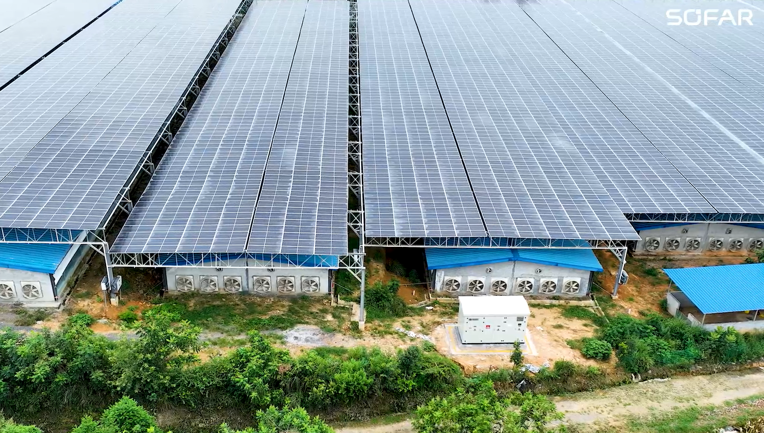 17005460696610094591499_850