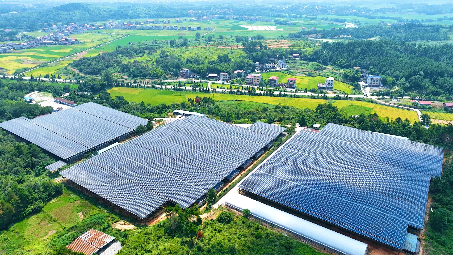 CA88��(�й���) - Ψһ�ٷ���վ