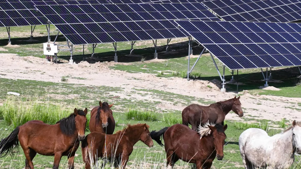 CA88��(�й���) - Ψһ�ٷ���վ